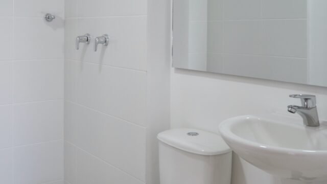 1975061020260219040203