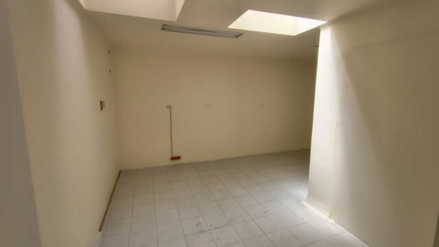 1975061020260226035152