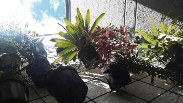 1975061420260110100125