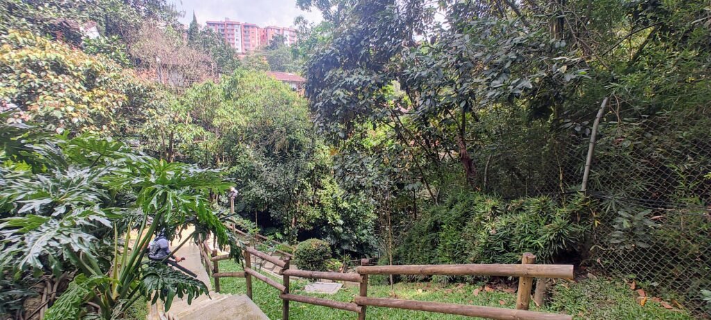 1975061420260128084541