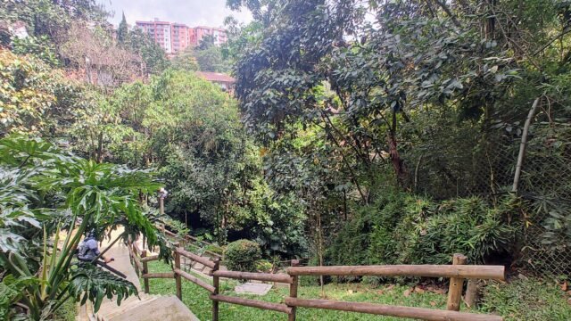 1975061420260128084541