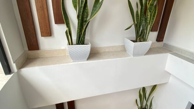 1975061520260219024055