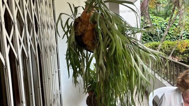 1975061720251210110505