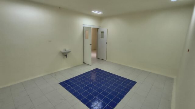 1975061720260226035157