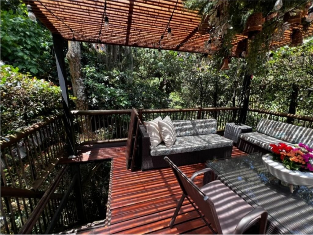 1975061920260113033708