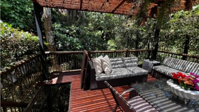 1975061920260113033708