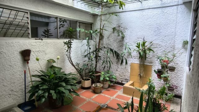 1975062320260202095047