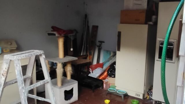 1975062320260217024011