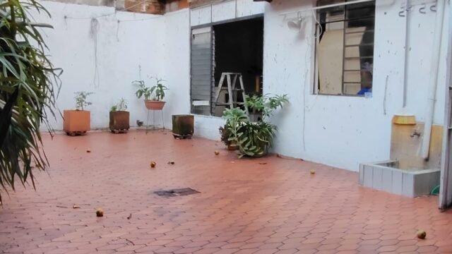 1975062420260217024012