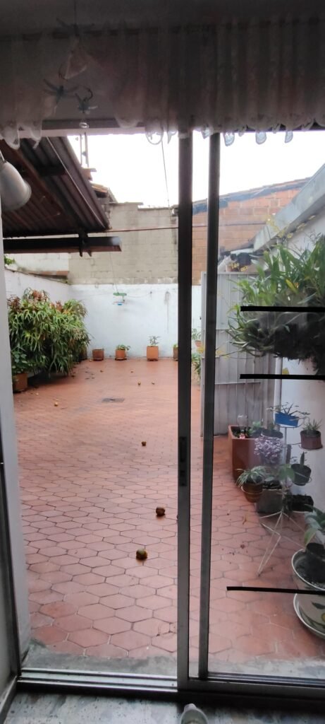 1975062520260217024012