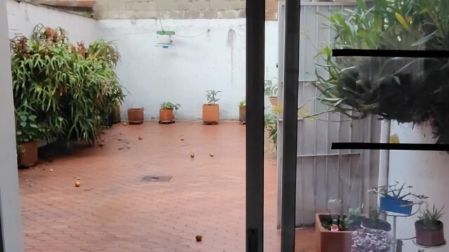 1975062520260217024012