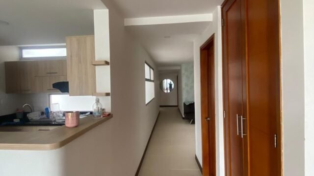 1975062620251217093313