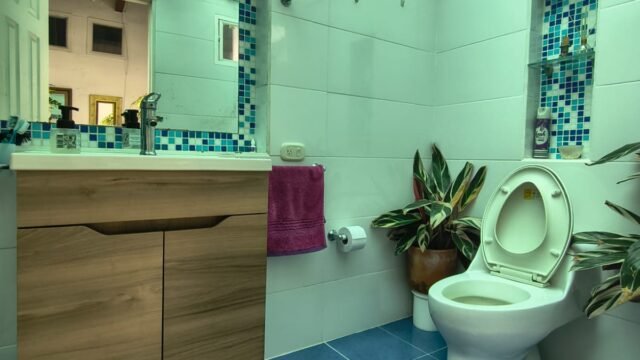 197506420260202085519