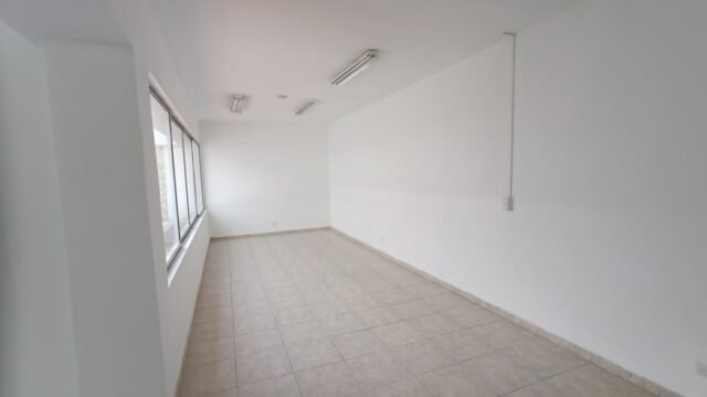 197506520251217121136