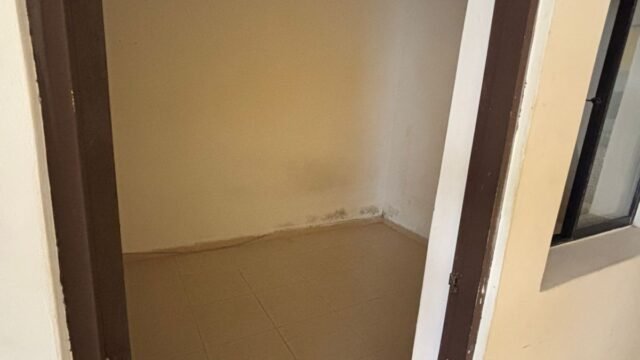 197506520260226011653