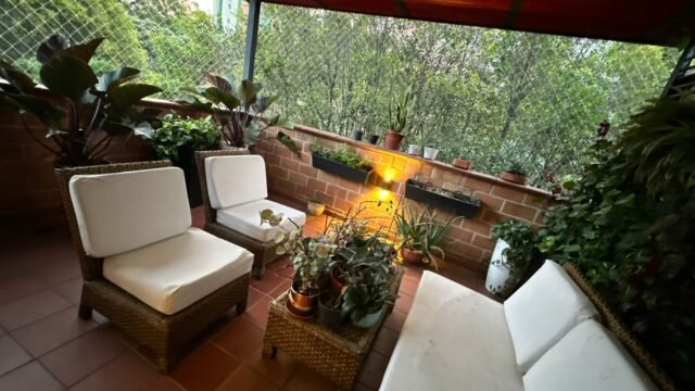 197506620260116082639