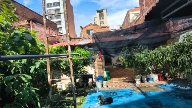 197506620260202085520