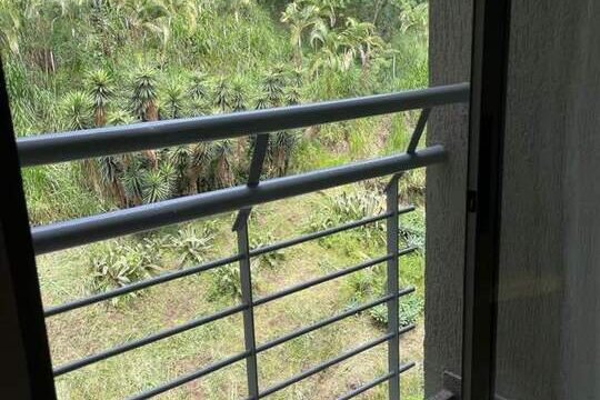 197506620260203042138