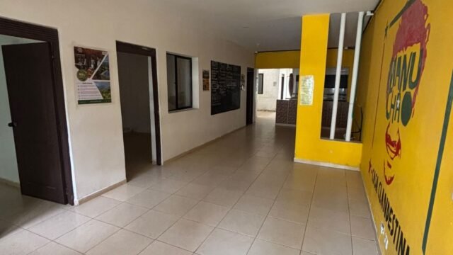 197506620260226011653