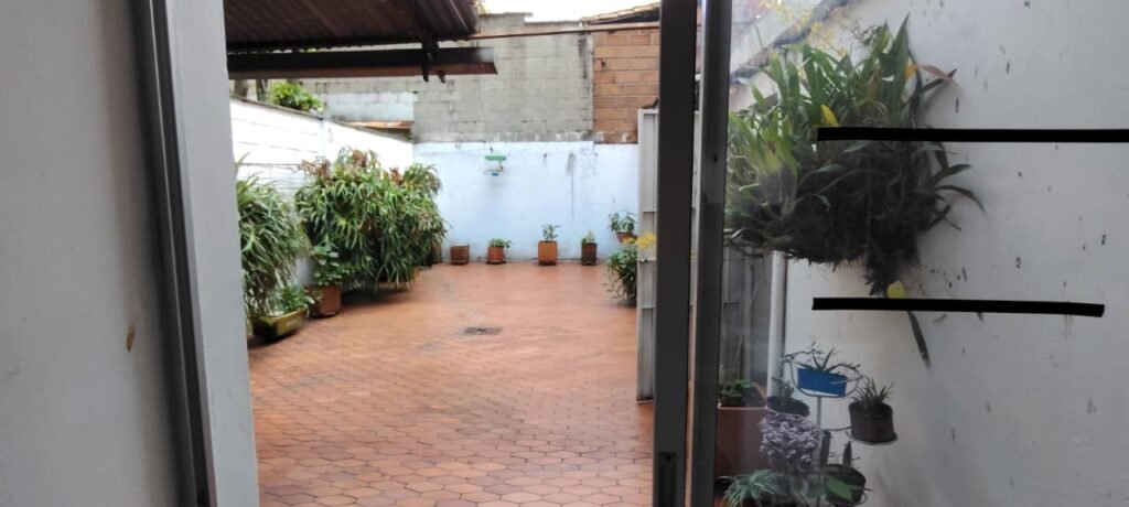 197506720260217023959