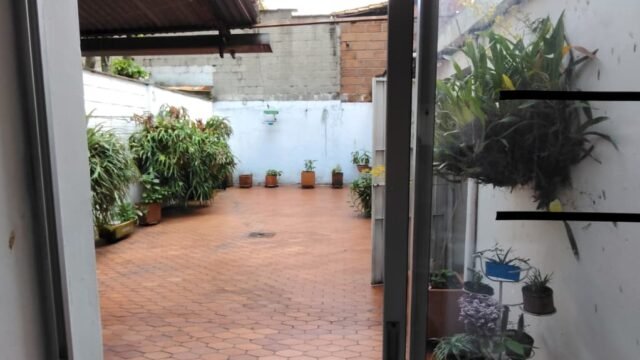 197506720260217023959