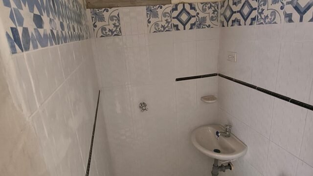 197506820260226035151