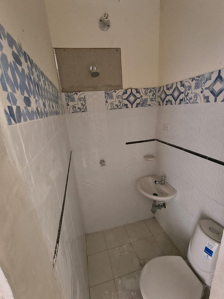 197506820260226035151