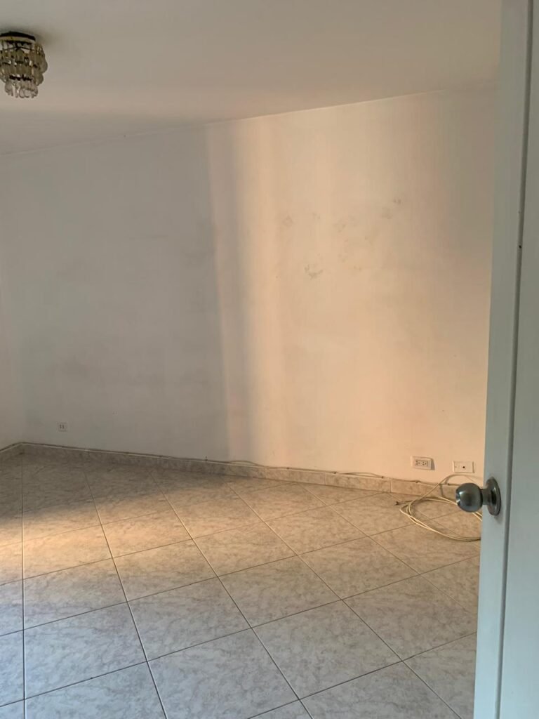 197506920251230093356