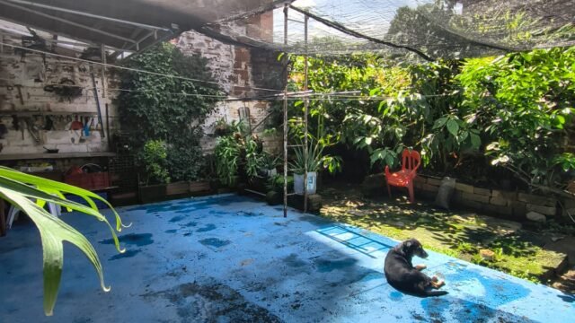 197506920260202085521