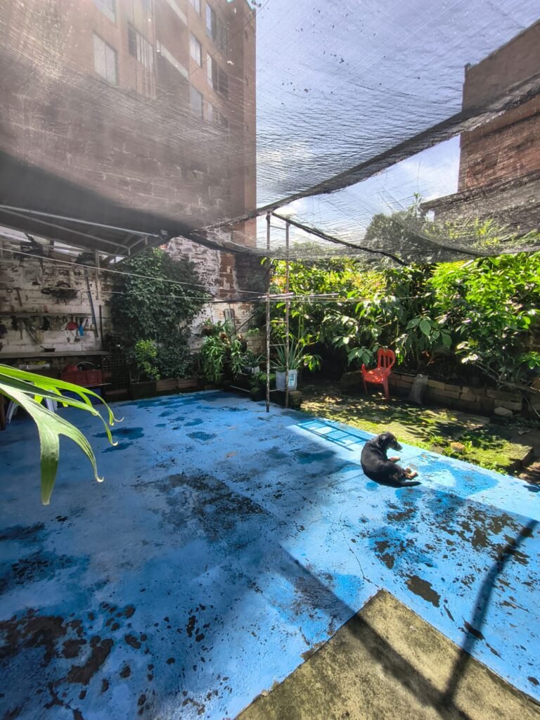 197506920260202085521