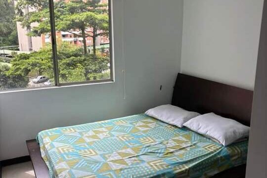 197506920260204092126