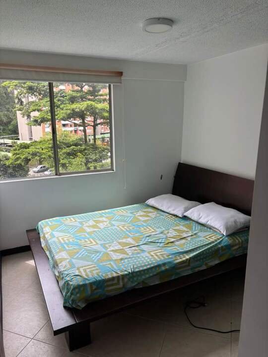 197506920260204092126