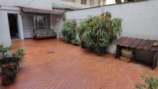 197506920260217024001