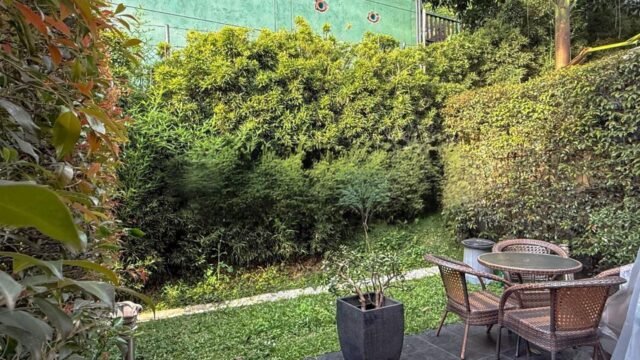 1975061020260306090845