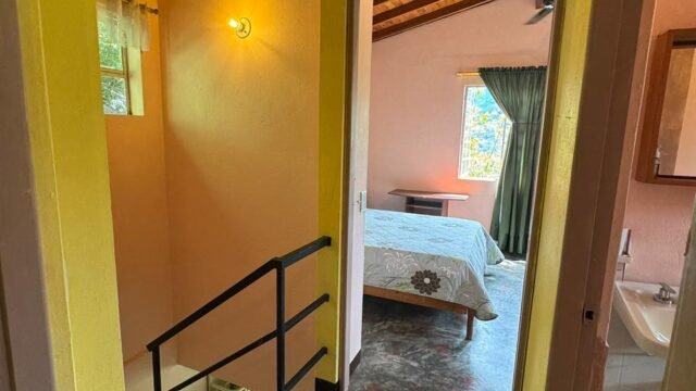 1975061020260310114007