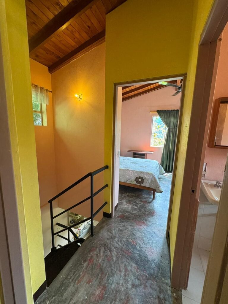 1975061020260310114007