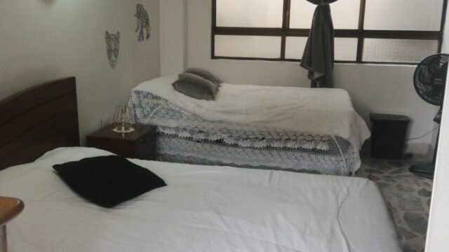 197506120260306082211