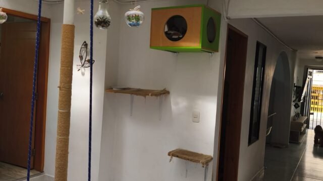 197506120260317043259