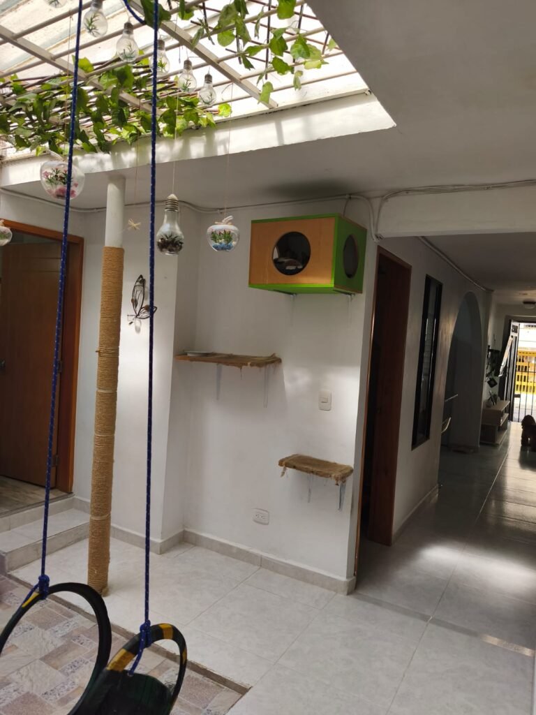 197506120260317043259