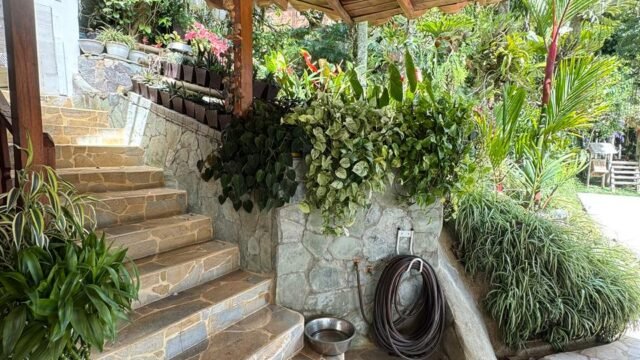 1975061220260310114008