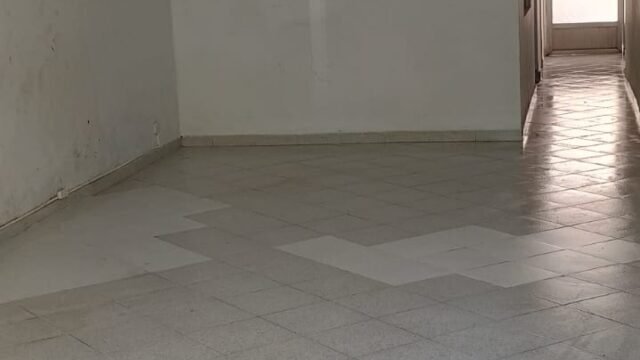 1975061220260317035317