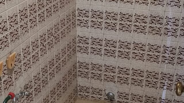 1975061320260317035318