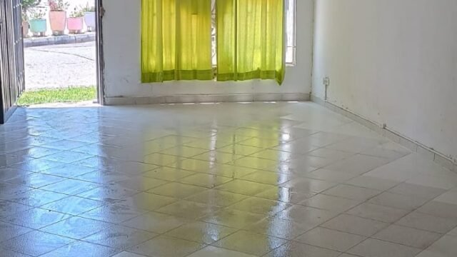 1975061420260317035319