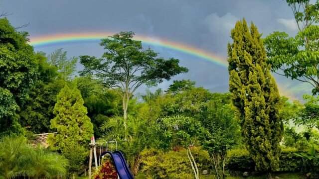 1975061620260310114012