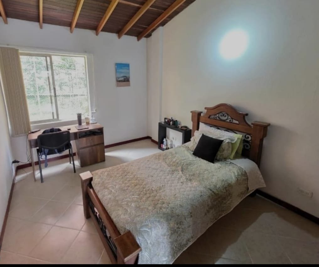 1975061620260310121902