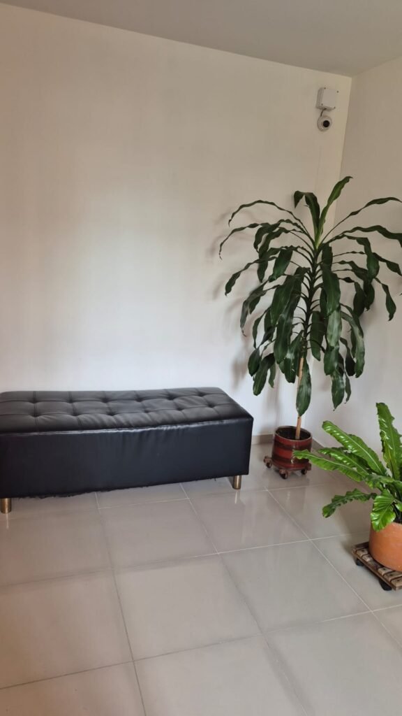 1975062020260306033334