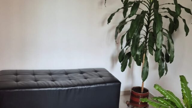 1975062020260306033334