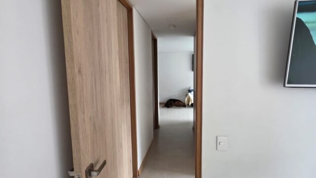 197506320260316035046