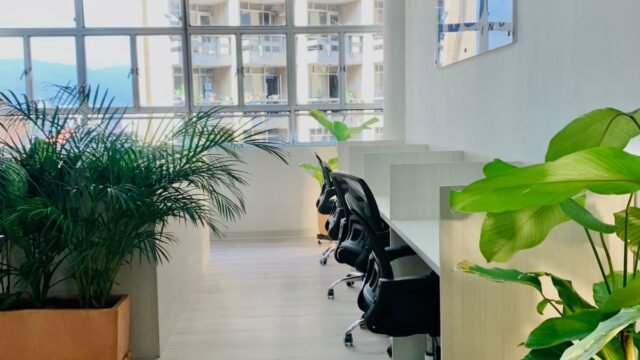 197506320260326024859