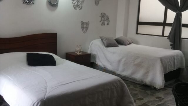 197506420260306082213